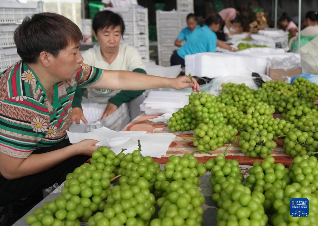 斗牛游戏下载游戏